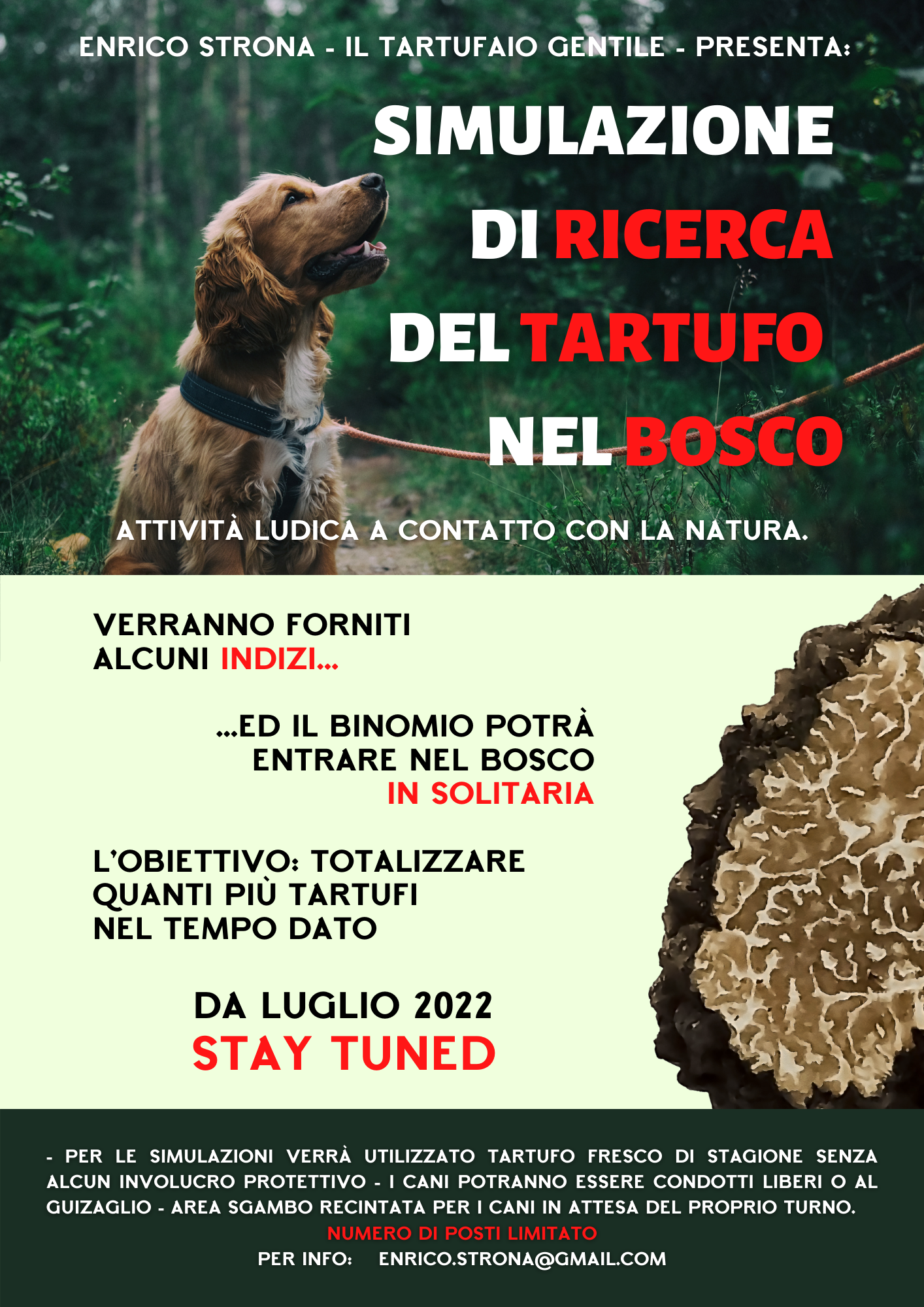 Simulazione nel bosco Simulazione nel bosco